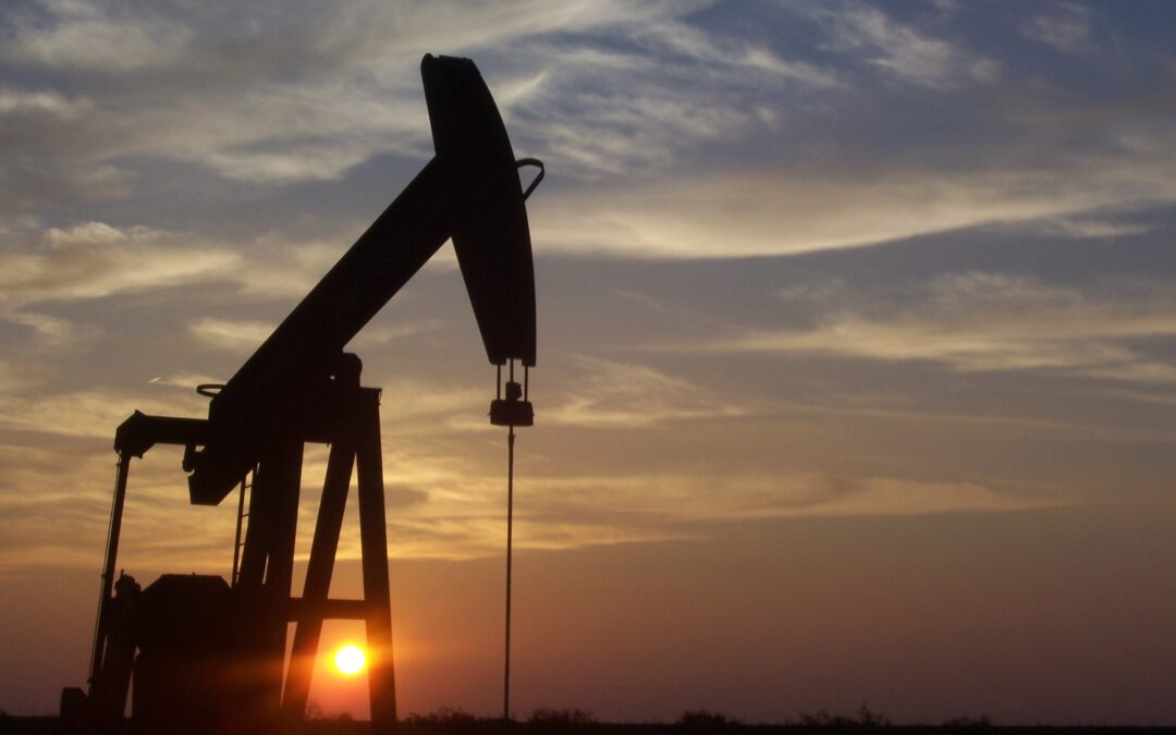Oil Policy Driven by National Interest, Not Single Source: Foreign Secretary Vikram Misri