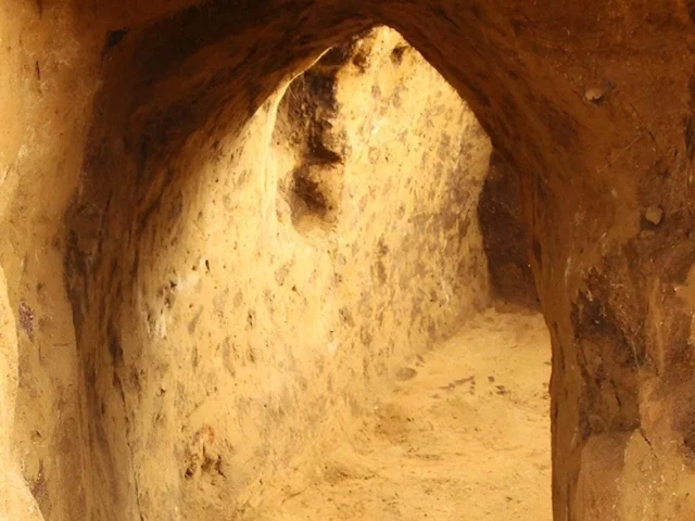 Medieval Tunnel Discovered Inside 6,000-Year-Old Neolithic Site in Germany