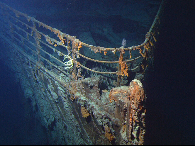 Marine life recorded 3,800 metres deep on Titanic in the North Atlantic