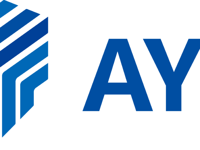 AYK Energy delivers world’s largest battery retrofit to Wasaline Ferry