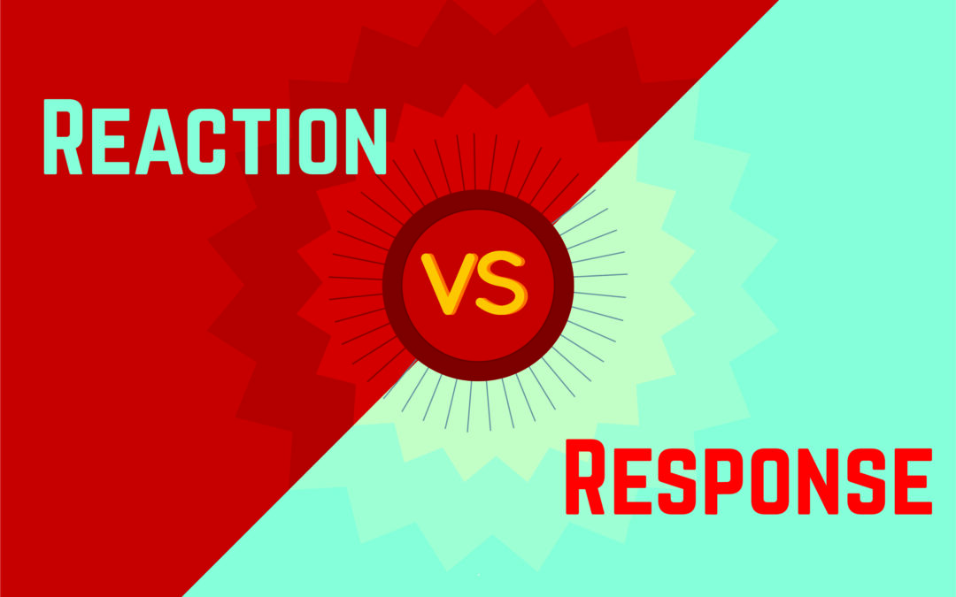 The Space That Shapes Us