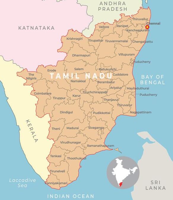 Vijay Expands Tamil Nadu Cabinet, Congress Returns To Government After 59 Years
