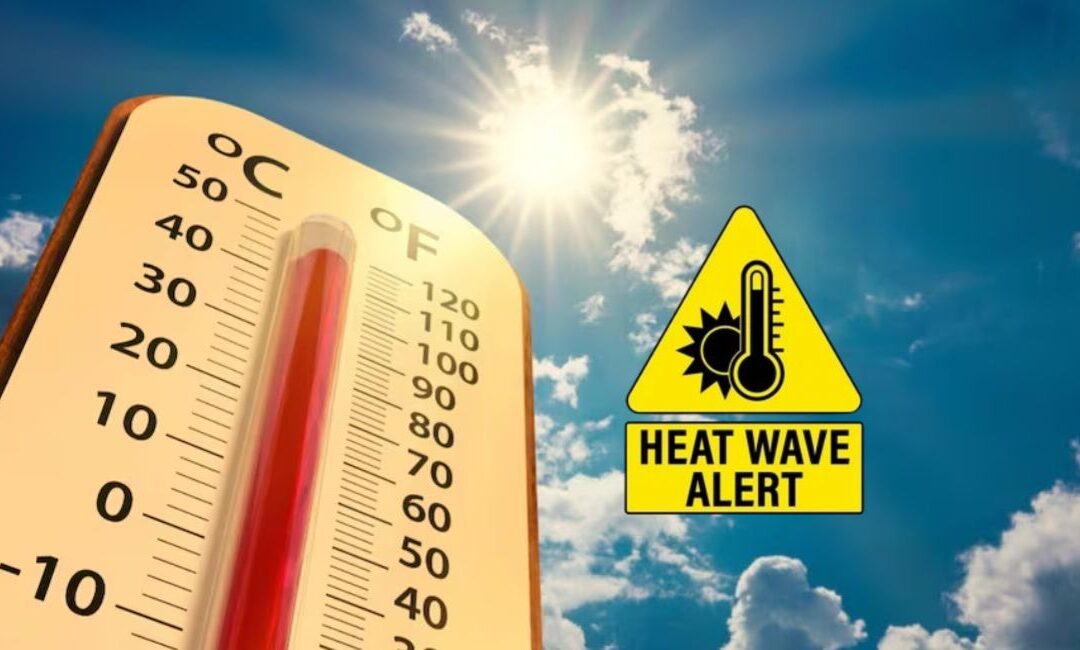 Heatwave Forces Extended Summer School Holidays Across Delhi, UP, Haryana and NCR; States Revise Academic Calendars