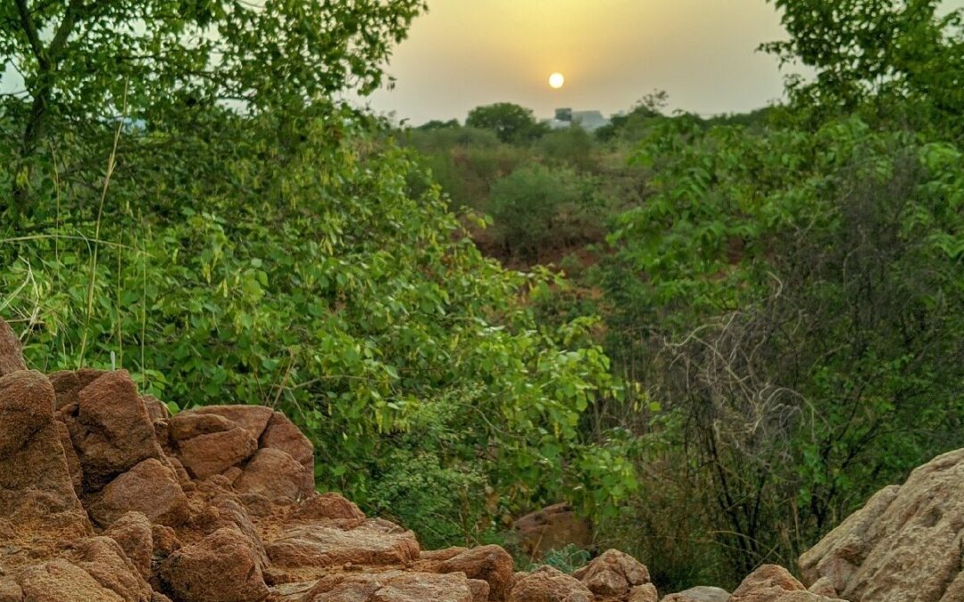 NCR States Agree to Preserve Aravali and Conservation Zones, Regional Plan 2041 Deferred