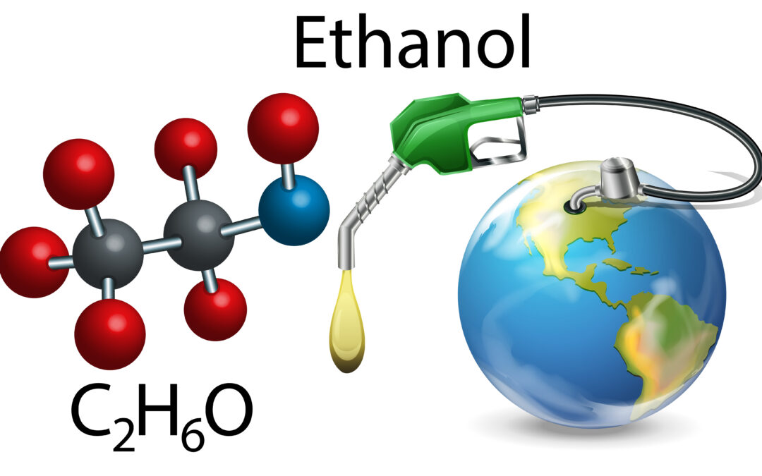 Government Rules Out Immediate Decision on Ethanol Blending Beyond 20%