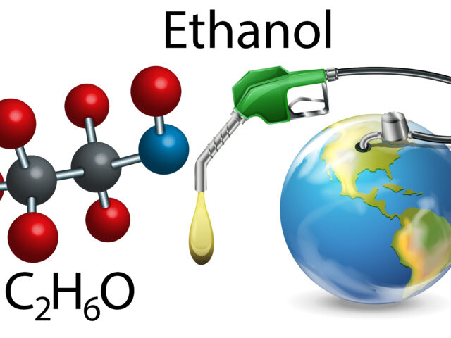 Government Rules Out Immediate Decision on Ethanol Blending Beyond 20%