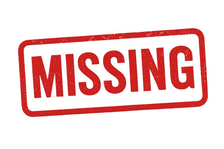 Telangana High Court Seeks Urgent Action in Search for Missing Student in Finland