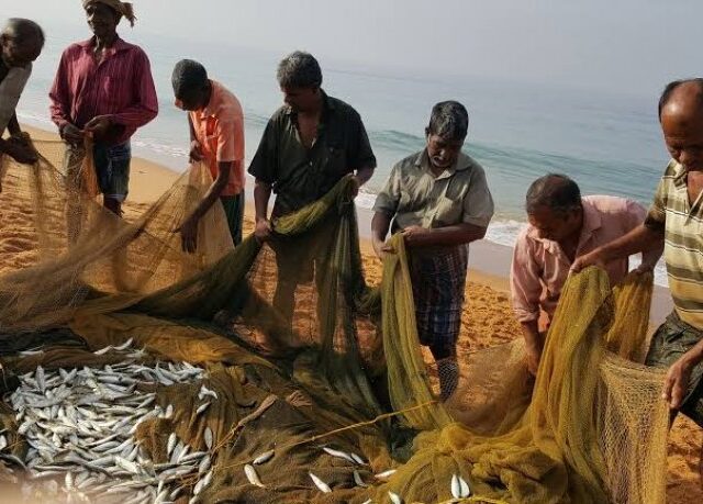 Bihar Bets on Blue Economy: New Aqua Park and Fisheries Hub to Boost Farmer Incomes