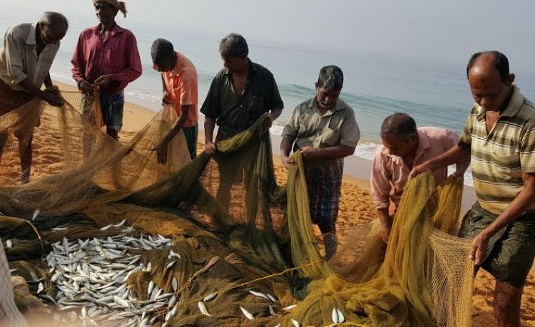 Bihar Bets on Blue Economy: New Aqua Park and Fisheries Hub to Boost Farmer Incomes