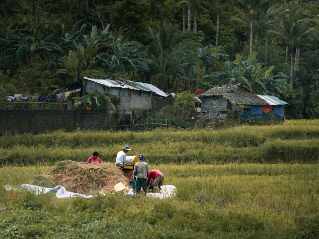 Tree-Based Farming Model Boosts Farmer Incomes in Cauvery Basin, Says Save Soil–Cauvery Calling