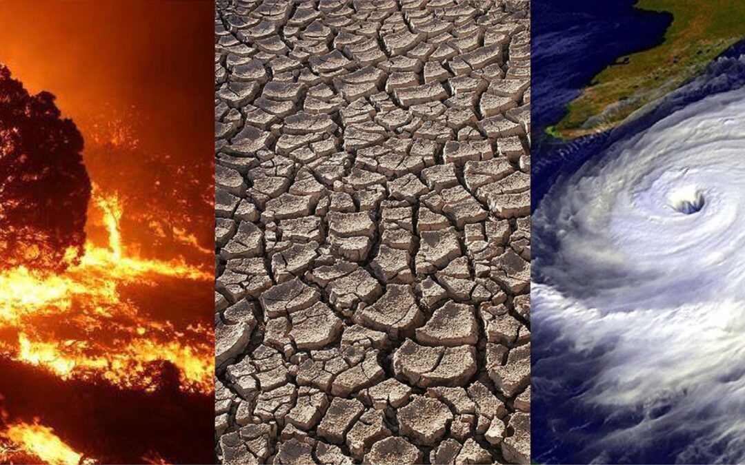 Climate Alert: 310 Indian Farming Districts at High Risk from Climate Change, Says Government