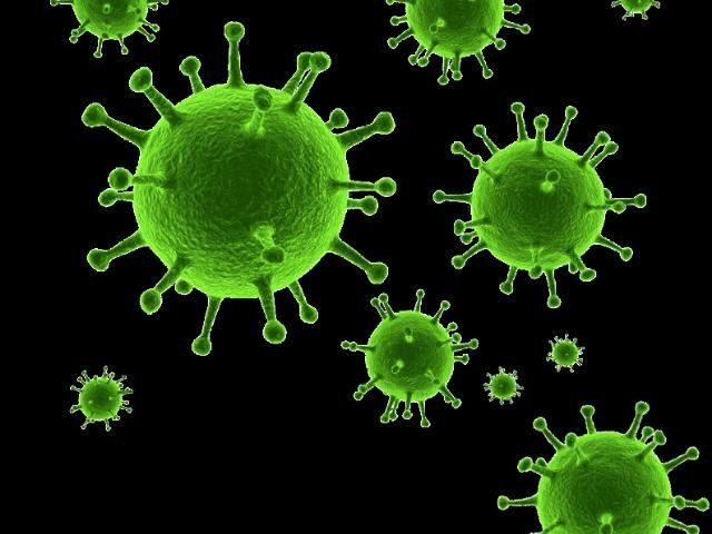 Norovirus Outbreak on Ruby Princess Cruise Sickens 125 Passengers and Crew