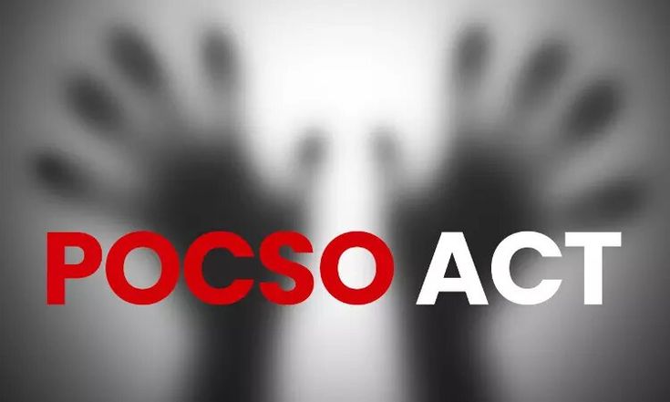 Telangana High Court Grants Regular Bail to Bandi Bhagirath in POCSO Case