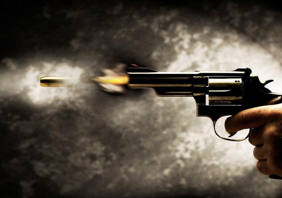 Manipur Clash: One Dead, Five Injured During Security Operation in Noney District
