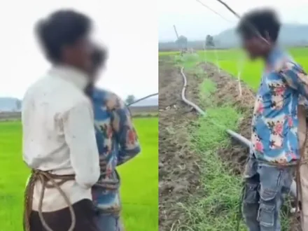 Mob Torture in MP: Two Youths Tied to Pole, Given Electric Shocks Over Theft Suspicion