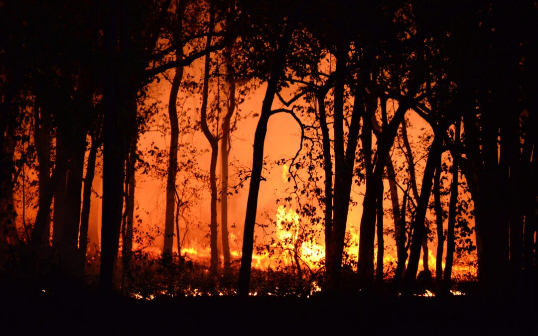 Over 200,000 Evacuated as Massive Wildfires Sweep Across Spain and France