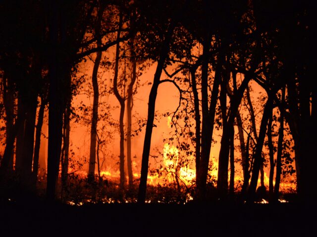 Over 200,000 Evacuated as Massive Wildfires Sweep Across Spain and France