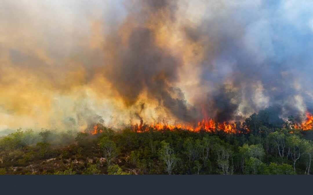 Wildfire Near Reno, Nevada, USA Forces Mass Evacuations as National Guard Joins Firefighting Effort