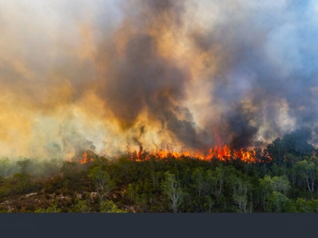 Wildfire Near Reno, Nevada, USA Forces Mass Evacuations as National Guard Joins Firefighting Effort