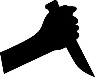 Woman Allegedly Stabs Newlywed Sister-in-Law to Death in Indore