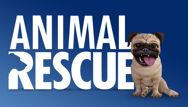 Florida Volunteer Pilots Take to the Skies to Rescue More Than 12,000 Shelter Animals