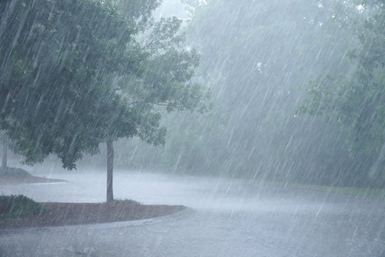 Red alert issued for Delhi as heavy rain lashes the capital and NCR, causing waterlogging