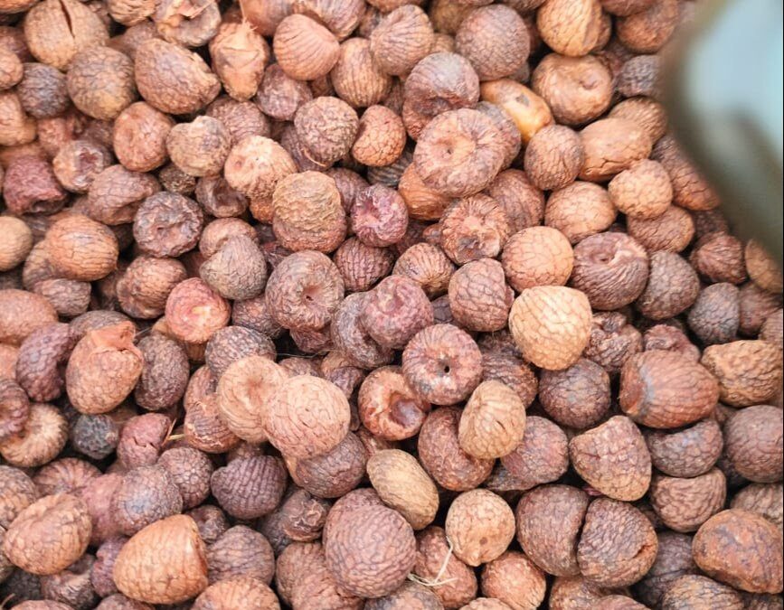 Burmese network behind large-scale areca nut smuggling via Mizoram: ED probe.