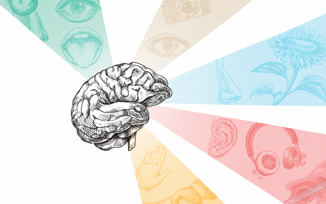 Understanding the Sixth Sense